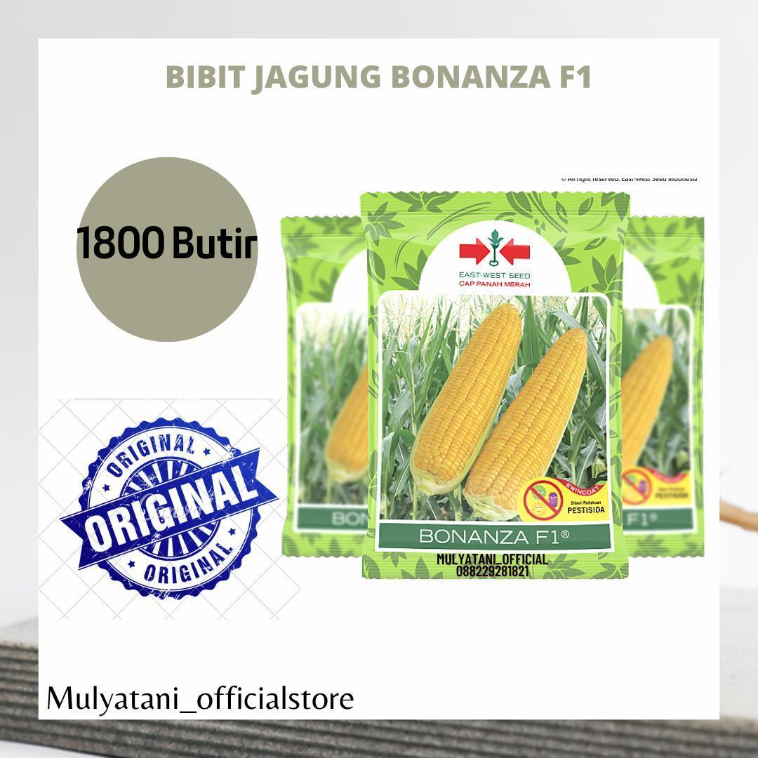 Temukan Agen Bonanza Alternatif Terbaik di Indonesia